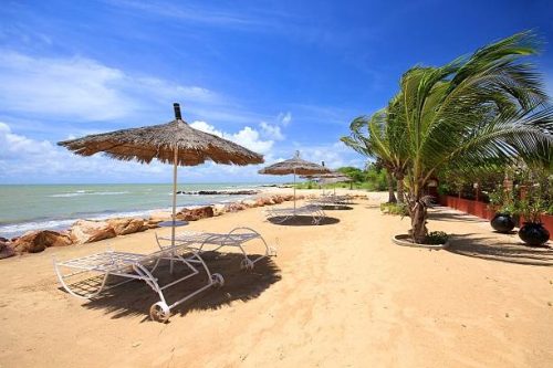 Saly
