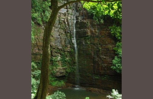 La cascade de Dindefelo